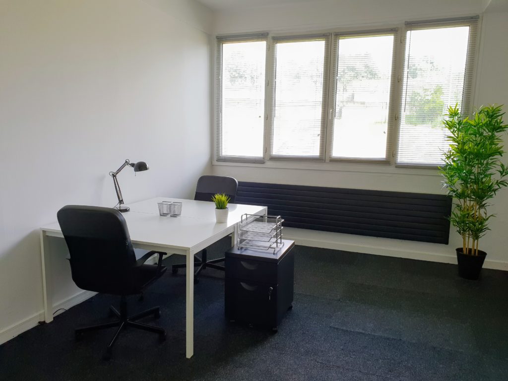 Location bureau équipé de 24m2 composé de 2 postes de travail et une plante verte